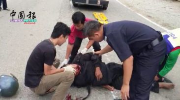 狗过马路被撞死    骑士重伤昏迷 （有视频）