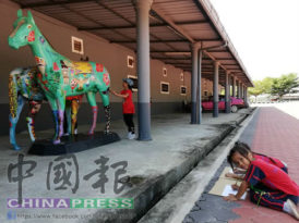 開智華小幼兒園學生  參觀迷你動物園  增廣見聞