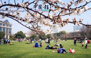 關中系列：放飛夢想 上海復旦大學