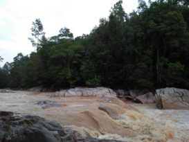 过河钓鱼河水突涨 一群青少年求助获救