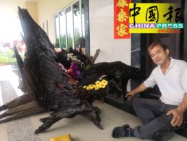 朽木也可雕  朽木雕塑  独一无二