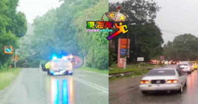 暴风雨侵袭大树倒路中  文冬加叻路交通中断