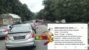 关闭部分路段砍树  加叻大道交通堵塞