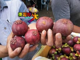 【今日东海岸头条】收购价有望每公斤破RM10  价格飞涨山竹扬威！