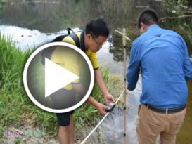 还有3尺高就会溢出  英雄花园积水湖 恐决堤 （有视频）