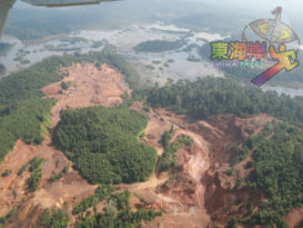 山林过度开伐摧毁湖泊 珍尼湖发现2非法矿区