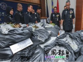 丹警2地点扫毒捕3人 起近千公斤葛冬叶毒品