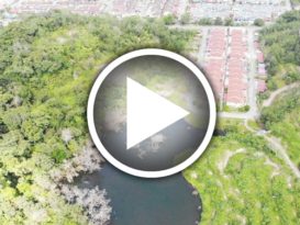 民宅龟裂墙壁潮湿  堰塞湖水位涨 忧决堤