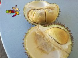 果季进尾声下波等年中产量剧减榴梿价倍涨