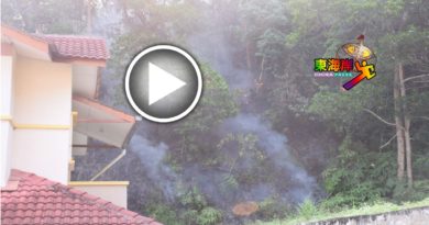天气干旱枯叶树木易燃  后山林火 险殃及洋房