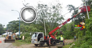 文冬大风雨 树倒压路   险引发水灾