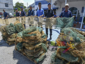 渔业局起83非法筌笼