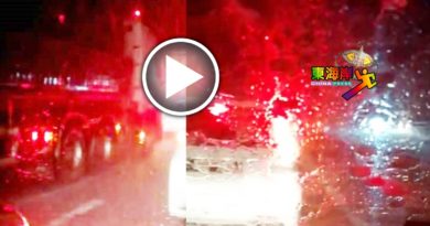 　加叻大道雨夜树倒交通中断约半小时