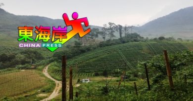 【今日东海岸头条】旧区景色怡人新地荒山野林新旧姜地大不同（有视频）