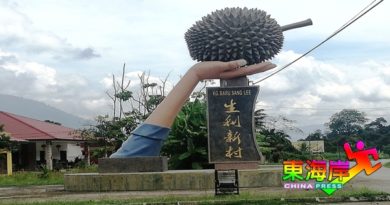 榴梿业者：解决过剩问题进口中国正是时候（有视频）
