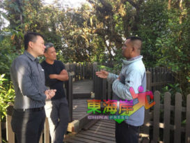 金马仑苔藓森林收费过高 著名旅游网站引负评连连