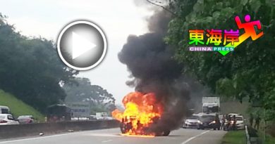 失控撞分界堤 灵鹿翻覆着火
