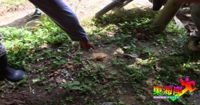 【今日东海岸头条】土质不适．毁供应链农民断炊迁新姜地弊大于利 （有视频）