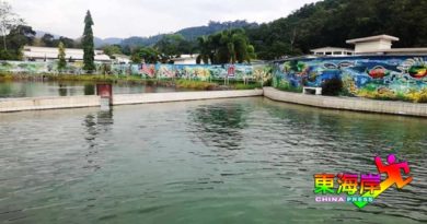 【今日东海岸头条】 公路建设不完善影响发展文冬热水湖暴殄天物（有视频）