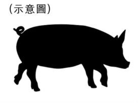 起幅调高将近一倍 　每100公斤生猪 涨价60