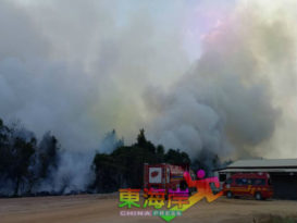 炎热气候  野火烧林  关丹格宾棘鼻烟霾笼罩