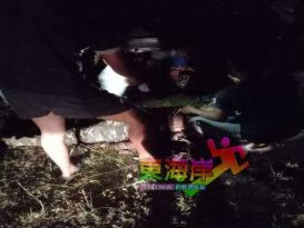 牛群漆黑中拦路！