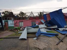 狂风暴雨袭击 民宅开天窗 大树倒下阻路