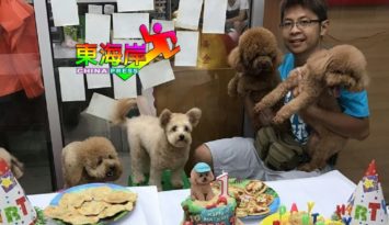 讲究多样化 饲主肯花钱  　 服务毛小孩  永不过时 （有视频）