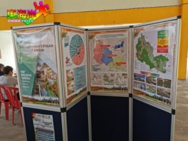 【今日东海岸头条】70亩姜地纳入发展大蓝图文冬姜农逼迁恐惧（有视频）