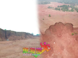 轮胎痕迹揭发偷泥  铝土矿地主损失172万