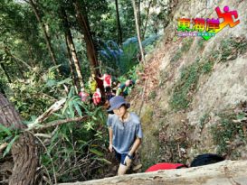 【今日东海岸头条】绕过陡峻岩壁．避开乱石滚落  登文冬山  有新路线（有视频）
