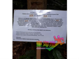 武吉柏灵栋森林公园  修剪树木 暂时关闭