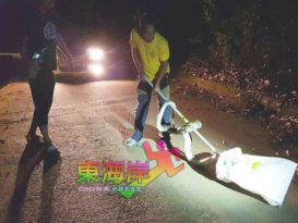 护幼猫与蟒蛇搏斗 母猫被缠死（有视频）