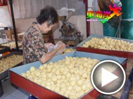 猫山王带来效应 游客 也爱文冬豆腐卜