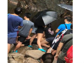 更新：华裔男子  林明彩虹瀑布閉氣  身亡 （有视频）