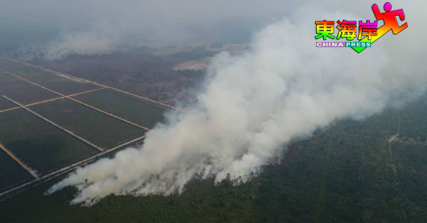 彭亨消拯局通过空中侦测，发现芝拉丁区出现大规模失火林区。