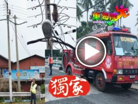 “齐天大圣”不敌电击当场被殛死！