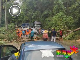 暹猛情人瀑布路大雨树倒拦路（有视频）