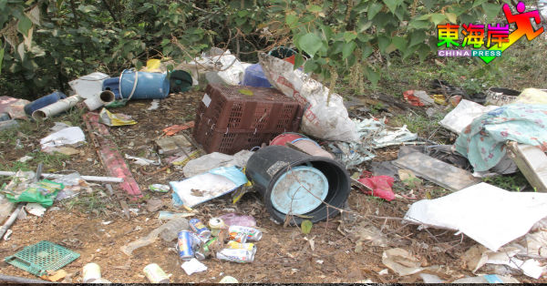 不少塑料用品被人丢弃在非法垃圾场内。