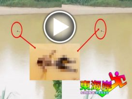 养鱼业者喂鱼 惊见河中有浮尸