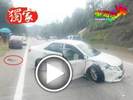 “齐天大圣”大闹大道 引发3车连环撞 猴死、大道堵塞