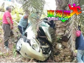 好友共车返家撞树一人毙命一人重伤