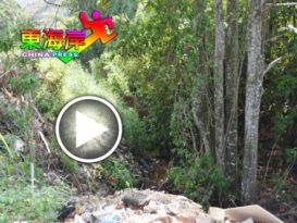 美化工程让垃圾场变黄金地  杜绝垃圾  增坟地泊车位