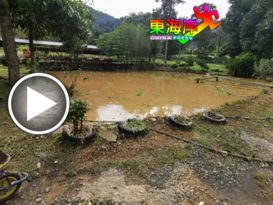 【今日东海岸头条】武吉丁宜新村水灾泥浆  淹  鱼池  餐馆   住家（有视频）
