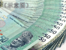 上网欲贷款13万 菜农被骗2万6300