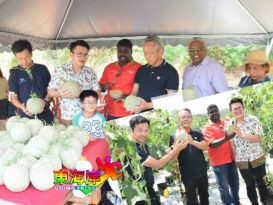 黄德：自供自给提升就业率  建议各乡镇设社区农场