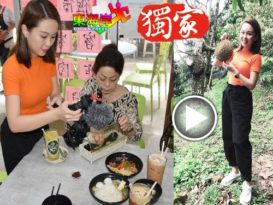 明星龚柯允 访文冬寻美食  品喝茶文化尝猫山王