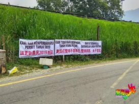 【今日东海岸头条】清芭通告吓坏姜农森林局：无关收回姜地