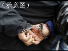砸毁家具  恐吓  出手伤母   不孝子控3罪不获保外