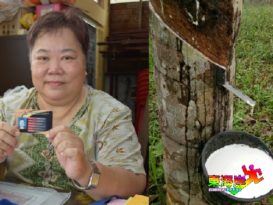 树胶小园主雨季援助金  更新期限 延长至15日